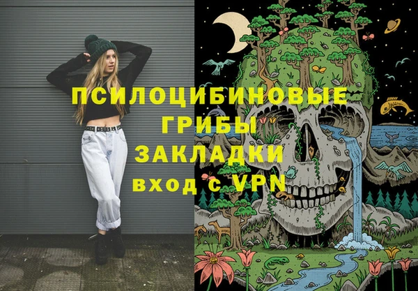 стаф Абаза