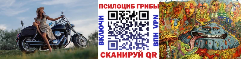 Галлюциногенные грибы мухоморы  Старая Купавна 